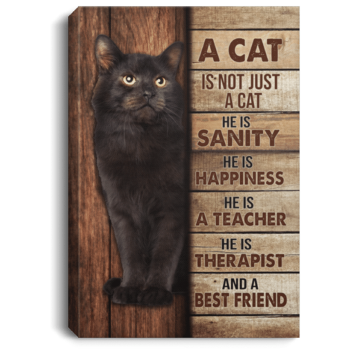 A Cat Is Therapist And A Best Friend, Black Cat Framed Canvas Wall Art - Portrait Canvas - White