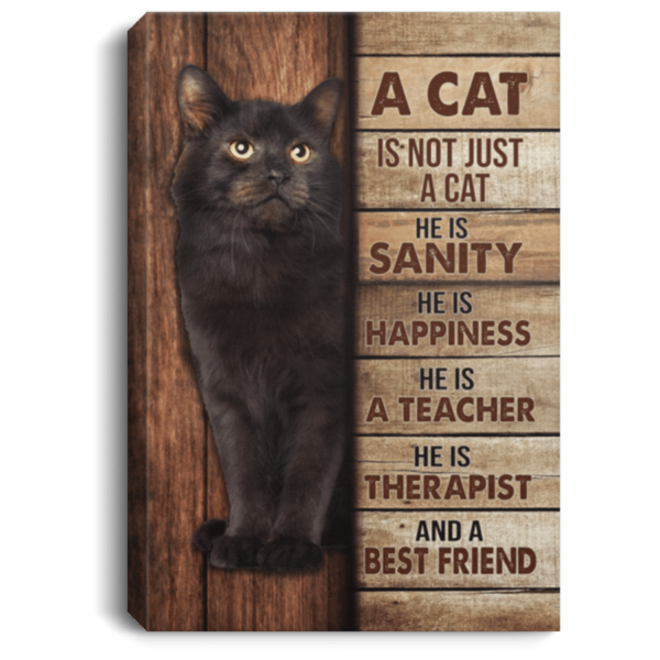 A Cat Is Therapist And A Best Friend, Black Cat Framed Canvas Wall Art - Portrait Canvas - White